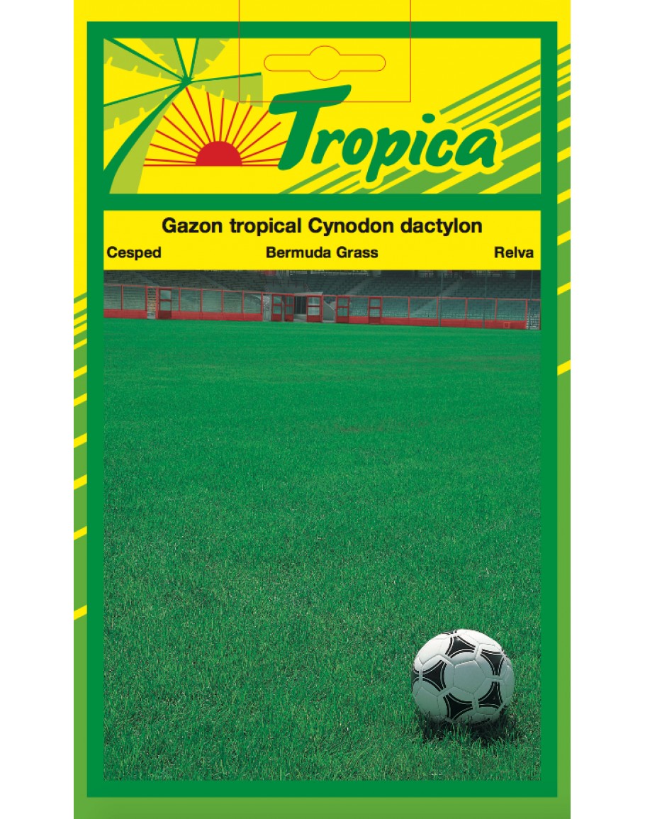 Bermuda Grass Seeds By Tropica